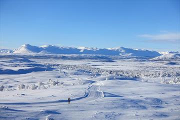 View from Synet at Vaset towards Skogshorn and Nibbi.