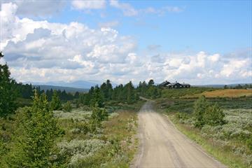 Grusvei såvidt over tregrensa med busvegetasjon, noen graner, et stølshus og utsikt til et fjellmassiv.