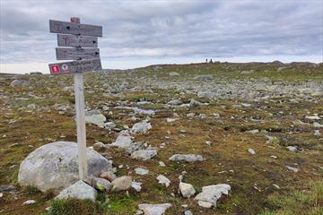 Wandertour Valdresflye-Bygdin