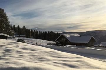 Valdres Alpin Apartments