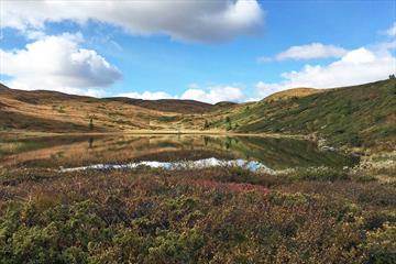 Høsten er vakker på Bjødalsfjellet