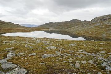 Fishing water at Filefjell