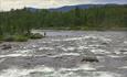 Tislea is a formidable fly fishing river. North of Langestølen, the cycling route around Lake Tislefjorden passes right by the river.