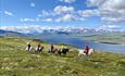 Ridetur til Olefjellet med flott utsikt til Jotunheimen og Vinstern.