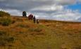 A family approches the summit cairn on Synet on a broad, easy-walked grass trail.