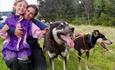 Dog sledding on wheels at the feet of the Jotunheimen