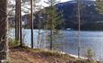 The shore of Lake Fløafjorden with some pine trees. There's still some ice left on the shore after the winter, but the water is open.