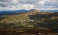 Undulating hills above and below the tree line