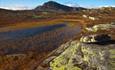 Offenes Fjellgelände mit hellgrünen, flechtenbedeckten Felsen und kleinen Wassertümpeln. Ein charakteristischer Berg im Hintergrund.