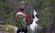 A woman stands at a viewpoint overlooking a river gorge in coniferous forest.