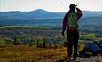 A woman with a small daypack against the light on a low summit just above the tree line