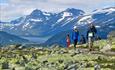 Hikers in the mountain pass a section with a lot of lichen-covered rocks. A lake and high mountains in the background.