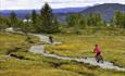 Two mountain bikers on a sustainably built trail in the mountains.