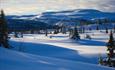 Like ved Søre Fjellstølen ved tregrensa med utsikt i retning Bjødalsfjellet en fin dag tidlig i februar. Landskapet er snødekt, og noen grantrær stikker opp.