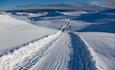 A cross-country skiing track stretches over an undulating high plateau as far as the eye can see.