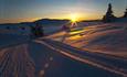 Langrennsløyper i fjellterreng og solnedgang.