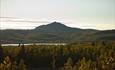 Djuptjernkampen rises over green birch forests against the sun.