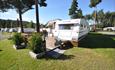 A campground by a lake during summer with caravans on a green lawn.