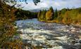 River Etna is a great fishing river.