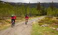 At the starting point of the trail to Ørneflag.