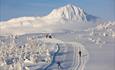 skiløyper i løype på snaufjellet med utsikt til fjell