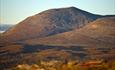 Orange-brown autumn-coloured heather in open high country with mountains