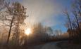 The road Helinvegen is the starting point of the family cycling tour in Vang. The low autumn sun breaches the trees.