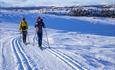 Two persons in the cross-country skiing tracks of Hedalen which cover large areas over the tree line.