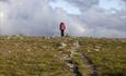 A hiker on a hill