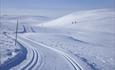 A cross-country skiiing track leads through undulating high country.