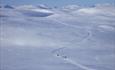 A cross-country skiiing track leads over a vast high plateau with mountains on the horizon.