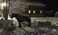 Horse and sleigh on the farm yard at Piltingsrud in the snow at night, illuminated by a light.