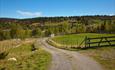 Farm road winding through greeen pastures at Juvike.