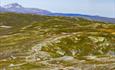 Hikers in open mountain landscape