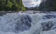 Image taken upstream towards a rapid in a river