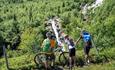 Cyclists look at a waterfall in a hillside overgrown by green montane birch forest
