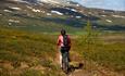 Cycling along the trail from Ormestadstølen to Svult.