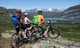 Mjølkevegen via Slettefjellet - Aussicht zum See Fleinsendin und dem Berg Knutsholstinden.