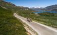 Cyclists on Slettefjellvegen, a stage of the Mjølkevegen cycling route, with a lake Jotunheimens high peaks in the background.