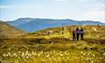 Mennesker på vandring over fjellet