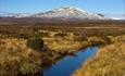 Skaget rises over an autumn-coloured swamp with new snow on the summit. A small brook flows calmly through the swamp.