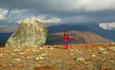 Hallingsteinen is a huge boulder which lies on the flat mountain plateau of Smådalsfjellet. From the road it is an easy hike to the boulder. On the pi