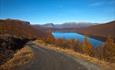 On the hill towards the highest point of the road over the pass Smådalsfjellet with a mesmerizing view over Lake Helin. The sky is blue and the birch