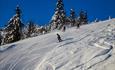 Blauer Himmel, Schnee auf den Fichten und drei Skifahrer auf der Piste in Stavadalen.