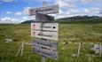 Signage in Langsua National Park showing the way towards different DNT-cabins in the area.