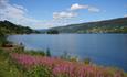 Along the southern shore of Lake Strandefjorden a fine summer day.