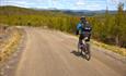 Cyclists on a farm road in the upper birch forest around the tree line.