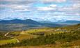 Vakker kulturlandskap med litt granskog, åpne grønne beiter, noen stølshytter og høye fjell i bakgrunnen.