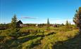 Bei Timannstølen führt die Fahrradroute auf einer überwachsenen Traktorspur entlang. Grüne Weiden, alte Almhütten, einzelne Fichten und blauer Himmel.