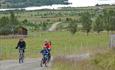 On the cycling tour around Lake Vasetvatnet one passes through idyllic summer farming landscape.